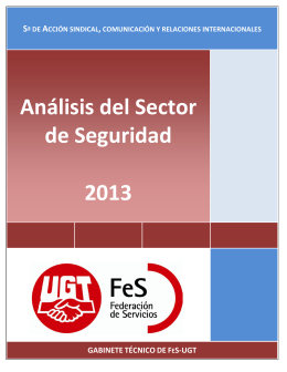 Análisis del Sector de Seguridad 2013
