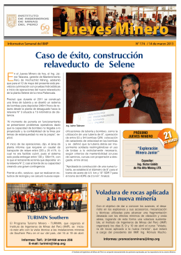 Boletín Informativo - Instituto de Ingenieros de Minas del Perú