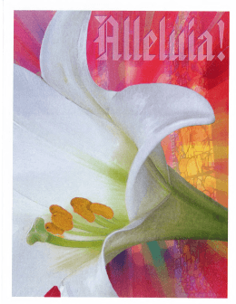 Bulletin 04-05-2015 - Iglesia Católica San Juan Bautista