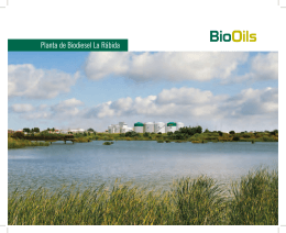 Planta de Biodiesel La Rábida - Bio-Oils