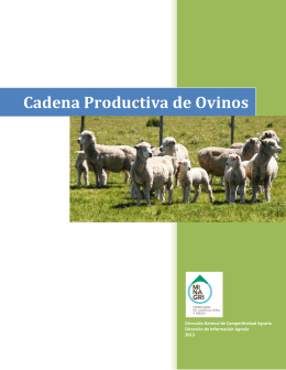 Cadena Productiva de Ovinos - Agro al DÍA