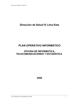 Plan operativo informatico 2008