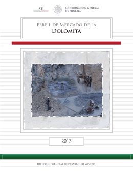 Dolomita 2013 - Secretaría de Economía