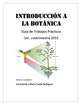 introducción a la botánica - Departamento de Biodiversidad y