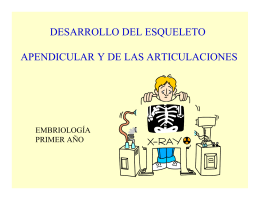 Tema 16. Desarrollo del Esqueleto Apendicular y de las Articulaciones