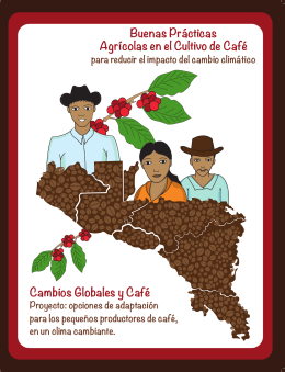 Folleto sobre Buenas prácticas agrícolas en el cultivo de café