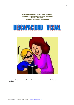 DISCAPACIDAD VISUAL