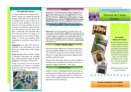 folleto turismo - Ayuntamiento de Monreal del Campo