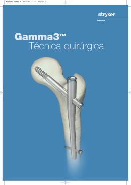 Folleto Gamma 3