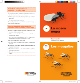 folleto mosca negra 2012