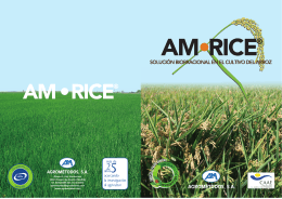 folleto AM Rice