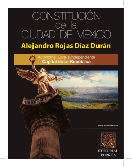 Alejandro Rojas Díaz Durán - Constitución de la Ciudad de México