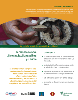 folleto visual - Rainforest Alliance