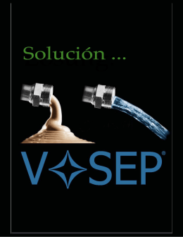 VSEP folleto en Español
