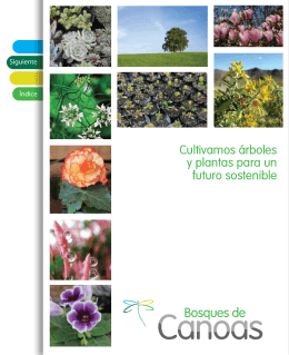 Haga clic acá para ver nuestro folleto de árboles y plantas.