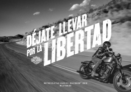 Nuevas - Harley Davidson Siebla Málaga