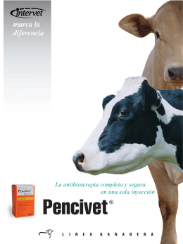 Folleto Pencivet - MSD Salud Animal