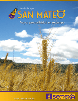 folleto SAN MATEO