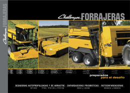 + detalle - Challenger