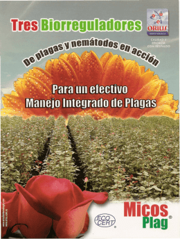 micosplag - flores folleto