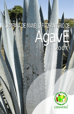 folleto agave 07.cdr