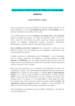 ASOCIACIÓN DE PROPIETARIOS DE PERROS DE