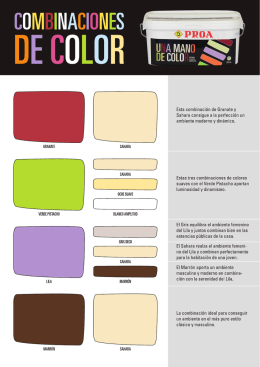 Proa monocapa folleto artfinal.ai