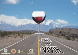 folleto alcohol conductores.cdr