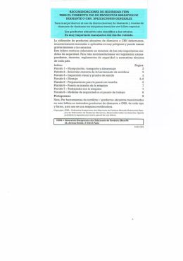 RECOMENDACIONES DE SEGURIDAD PEPE P.HRl`—l EL