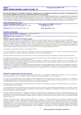 BBVA BONOS ESPAÑA LARGO PLAZO, FI