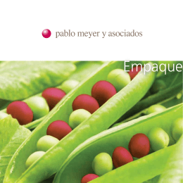folleto pdf - Pablo Meyer y Asociados