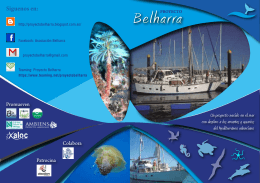 Folleto Proyecto Belharra