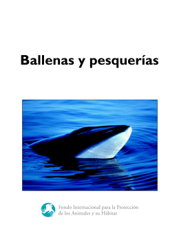 Ballenas y pesquerías - International Fund for Animal Welfare