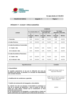 Epígrafe 11° - Avales y otras garantías.
