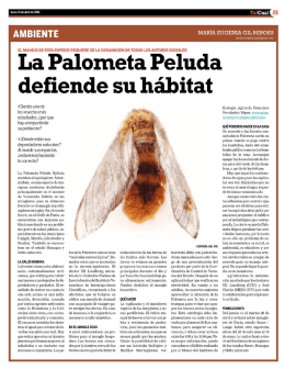 AMBIENTE - Fundación Agua Clara