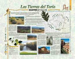 + Las Tierras del T orí0