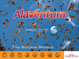 Tour Mariposa Monarca