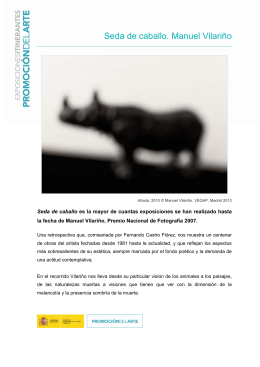 Seda de caballo. Manuel Vilariño - Ministerio de Educación, Cultura