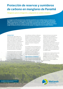 Protección de reservas y sumideros de carbono en manglares de