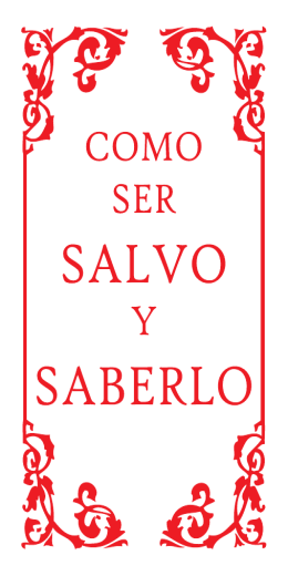 SALVO Y