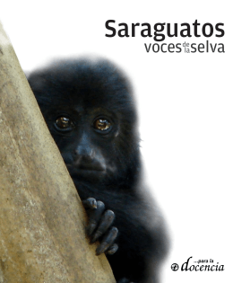 Saraguatos