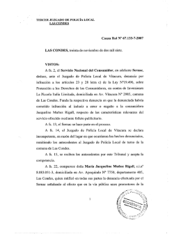 La Piccola Italia Ltda. Rol JPL N° 67.133-2007