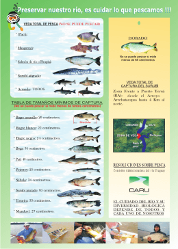 Acceda al folleto sobre pesca