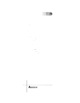 Anexos
