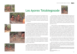 Los Ayoreo Totobiegosode