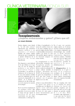 Toxoplasmosis.