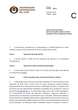Informe del Grupo Básico del Foro Consultivo sobre la reunión