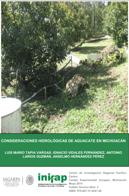 Consideraciones hidrológicas de aguacate en Michoacán.