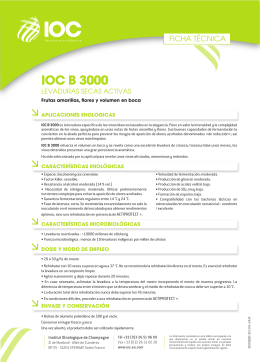 FT LEVURE IOC B 3000 (ES) - Institut Oenologique de Champagne