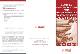 2007 becas de especialización para profesionales del este
